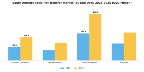 South America Facial Fat Transfer Market Segment Image 1