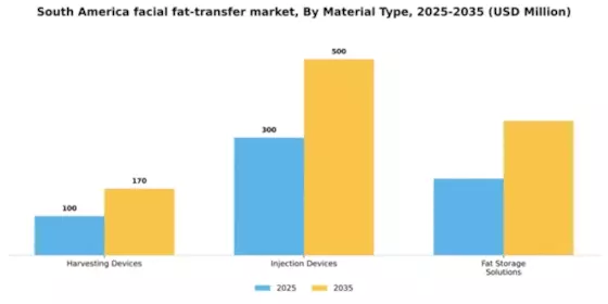 South America Facial Fat Transfer Market Segment Image 2