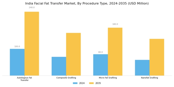 India Facial Fat Transfer Market Segment Image 0