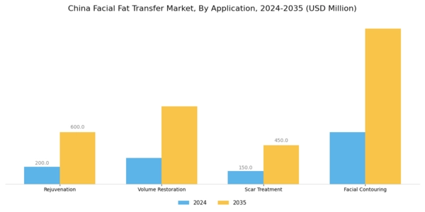 China Facial Fat Transfer Market Segment Image 0