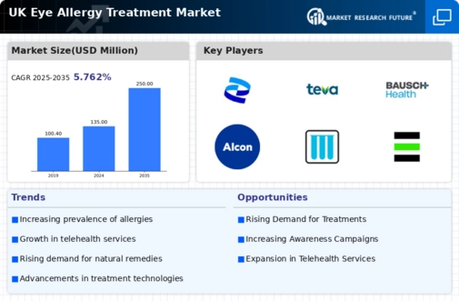 UK Eye Allergy Treatment Market Infographic