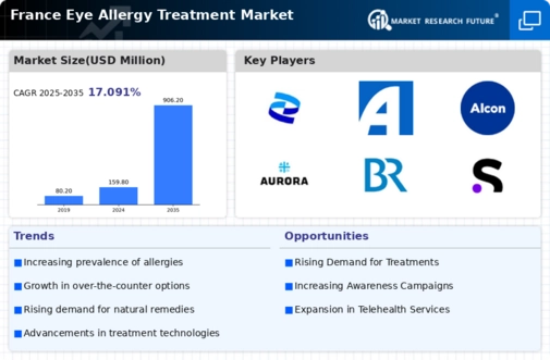 France Eye Allergy Treatment Market Infographic