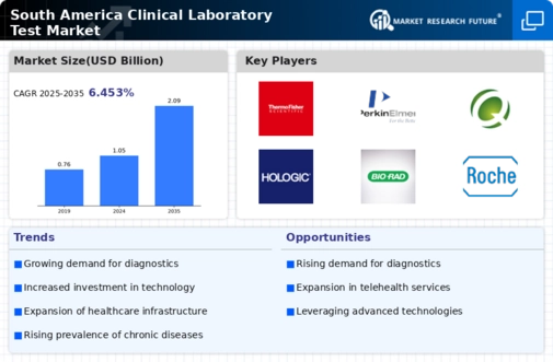South America Clinical Laboratory Test Market Infographic
