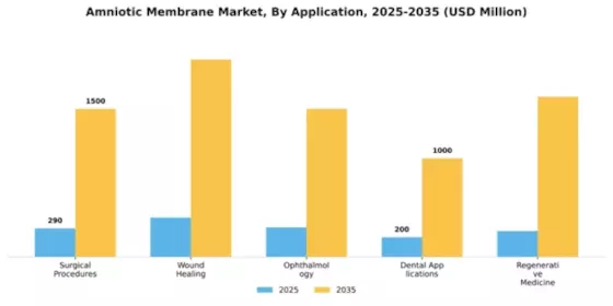 Amniotic Membrane Market Segment Image 0