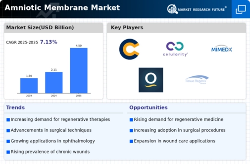 Amniotic Membrane Market Infographic
