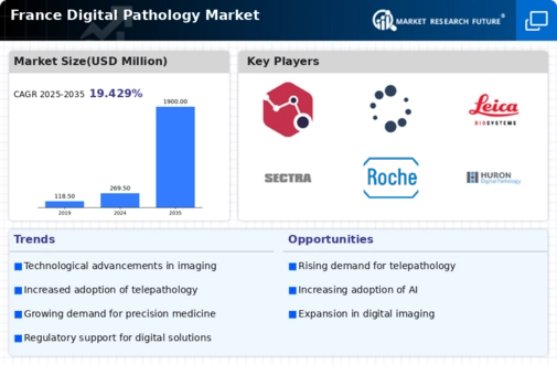 France Digital Pathology Market Infographic
