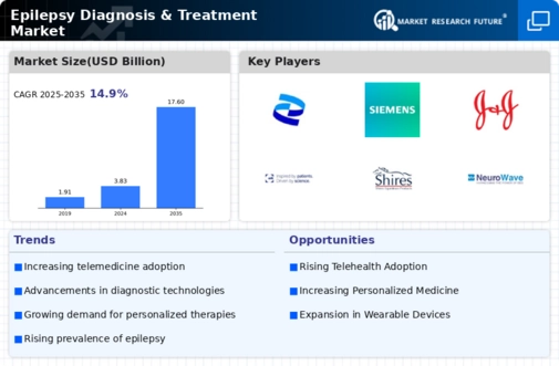 Epilepsy Diagnosis Treatment Market Infographic