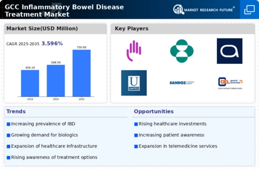 GCC Inflammatory Bowel Disease Treatment Market Infographic