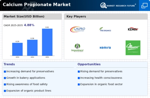 Calcium Propionate Market Infographic