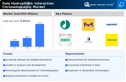 Italy Hydrophobic Interaction Chromatography Market Infographic