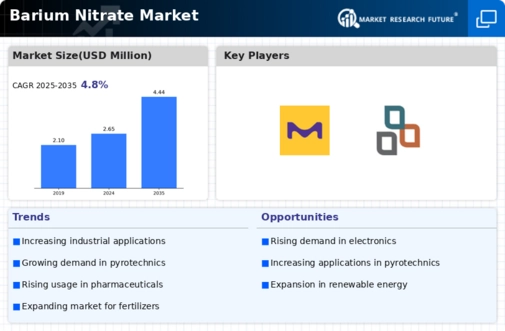 Barium Nitrate Market Infographic
