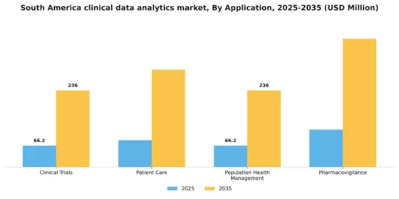 South America Clinical Data Analytics Market Segment Image 0