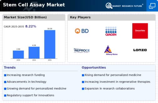 Stem Cell Assay Market Infographic