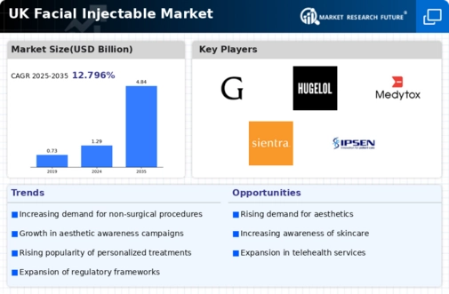 UK Facial Injectable Market Infographic