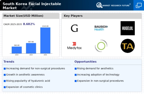 South Korea Facial Injectable Market Infographic