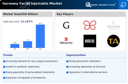 Germany Facial Injectable Market Infographic