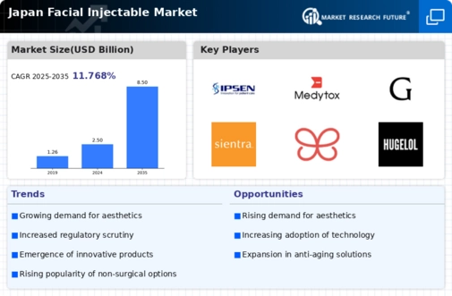 Japan Facial Injectable Market Infographic