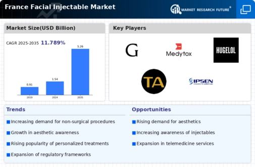 France Facial Injectable Market Infographic