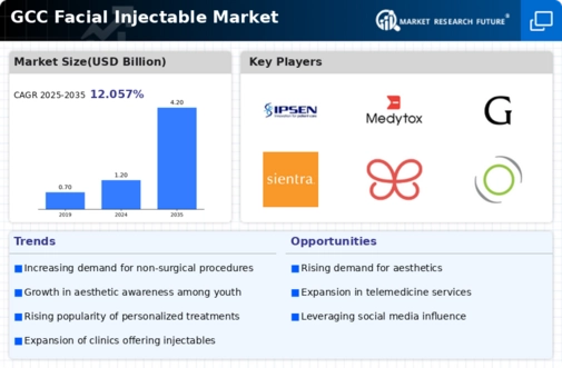 GCC Facial Injectable Market Infographic