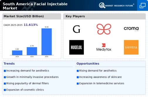 South America Facial Injectable Market Infographic