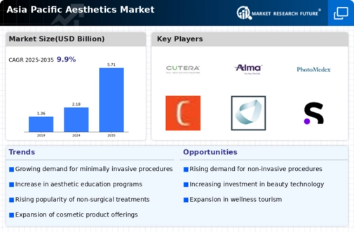 Asia Pacific Aesthetics Market Infographic