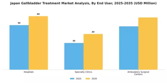 Japan Gallbladder Treatment Market Segment Image 0