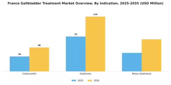France Gallbladder Treatment Market Segment Image 1