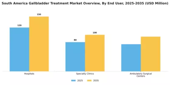 South America Gallbladder Treatment Market Segment Image 0
