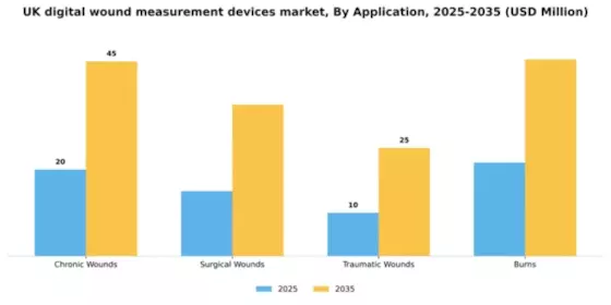 UK Digital Wound Measurement Devices Market Segment Image 0