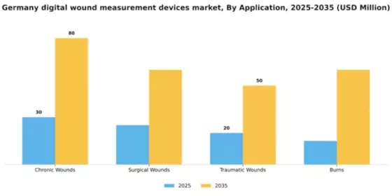 Germany Digital Wound Measurement Devices Market Segment Image 0
