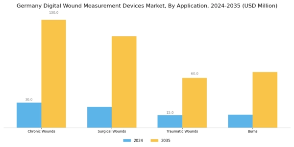 Germany Digital Wound Measurement Devices Market Segment Image 1