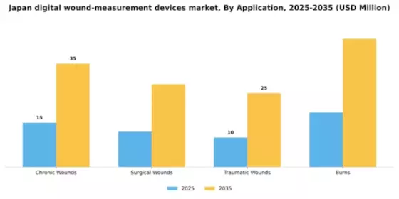 Japan Digital Wound Measurement Devices Market Segment Image 0