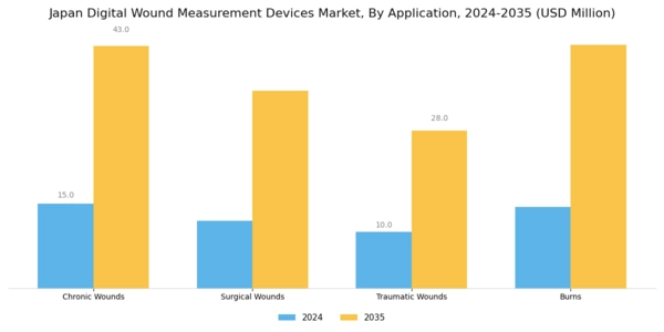 Japan Digital Wound Measurement Devices Market Segment Image 1