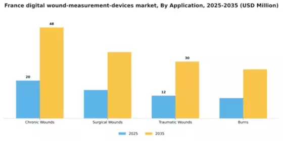 France Digital Wound Measurement Devices Market Segment Image 0