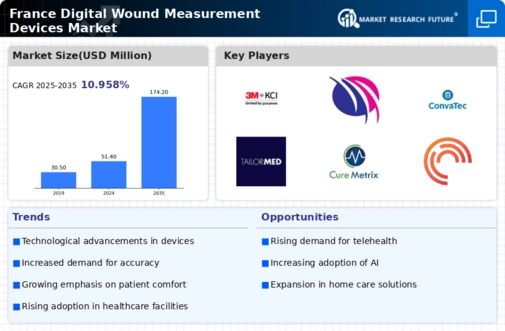 France Digital Wound Measurement Devices Market Infographic