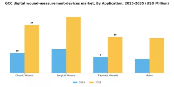 GCC Digital Wound Measurement Devices Market Segment Image 0