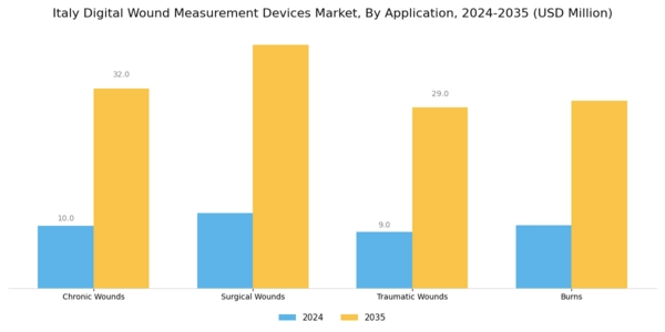 Italy Digital Wound Measurement Devices Market Segment Image 1