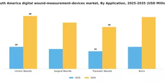 South America Digital Wound Measurement Devices Market Segment Image 0