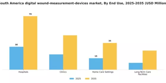 South America Digital Wound Measurement Devices Market Segment Image 1