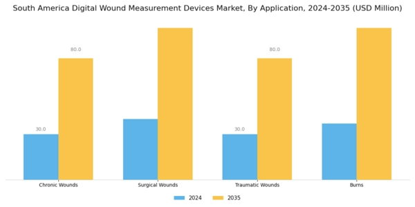 South America Digital Wound Measurement Devices Market Segment Image 1