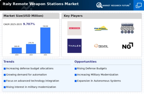 Italy Remote Weapon Stations Market Infographic