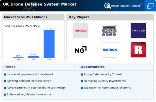 UK Drone Defense System Market  Infographic