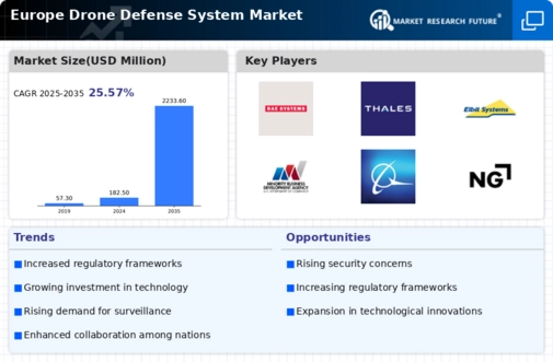 Europe Drone Defense System Market Infographic
