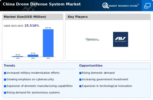 China Drone Defense System Market Infographic
