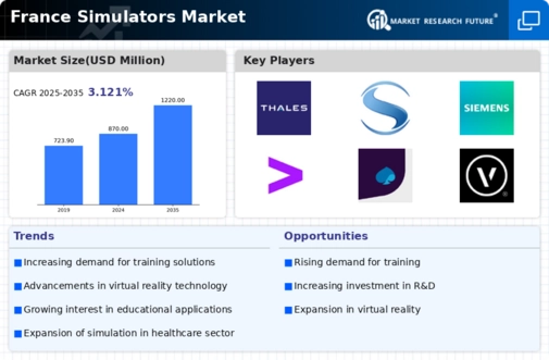 France Simulators Market Infographic