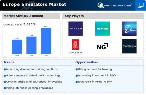 Europe Simulators Market Infographic