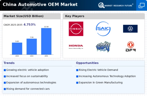 China Automotive OEM Market Infographic