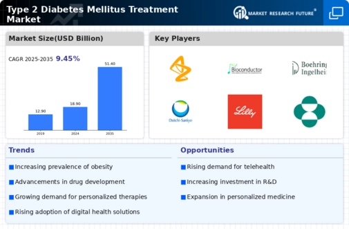 Type 2 Diabetes Mellitus Treatment Market Infographic
