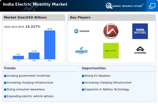 India Electric Mobility Market Infographic