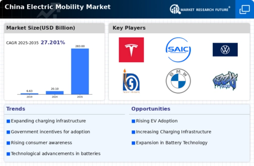 China Electric Mobility Market Infographic
